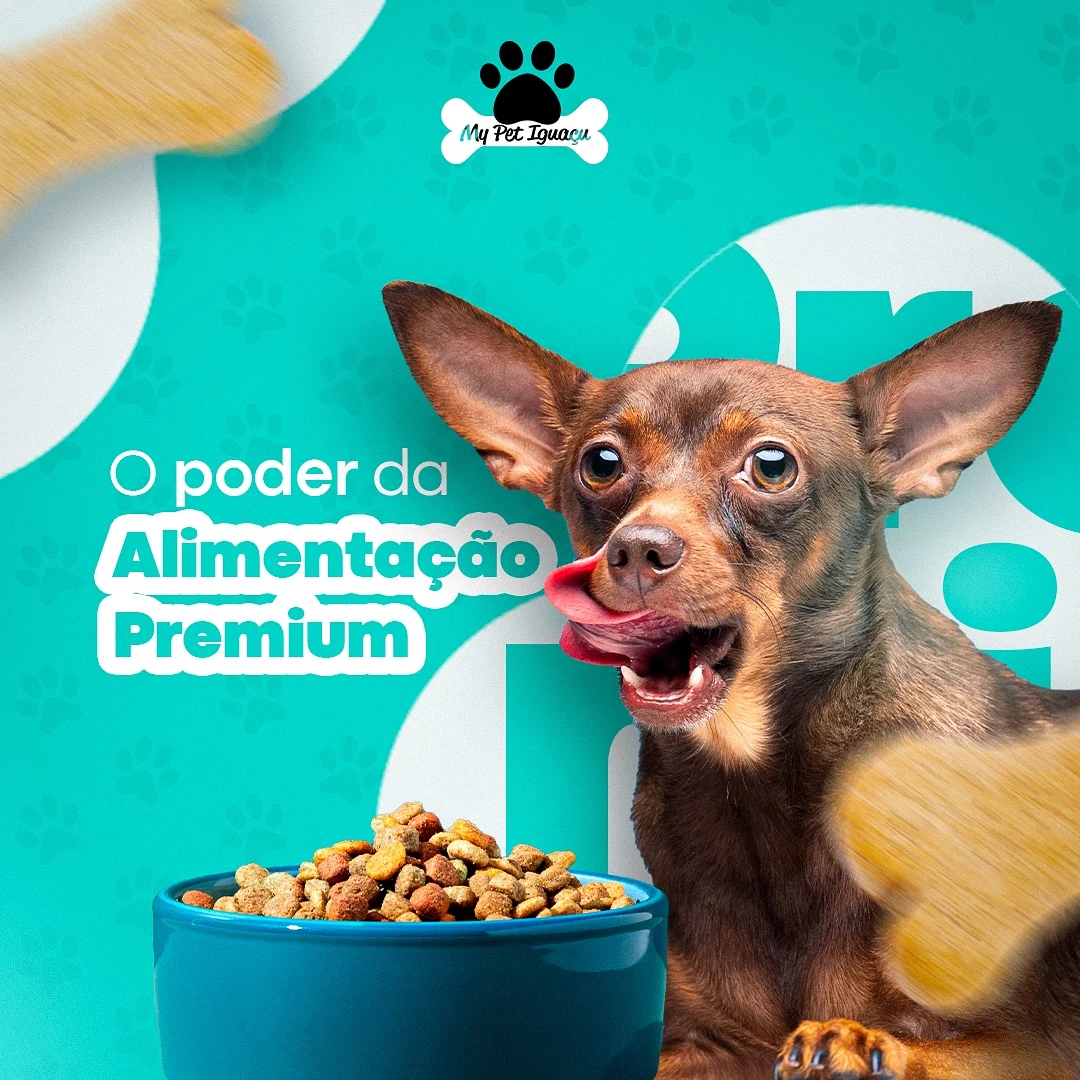 Projeto de Edição de Vídeo 5